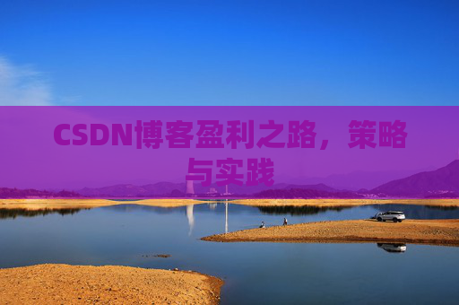 CSDN博客盈利之路，策略与实践